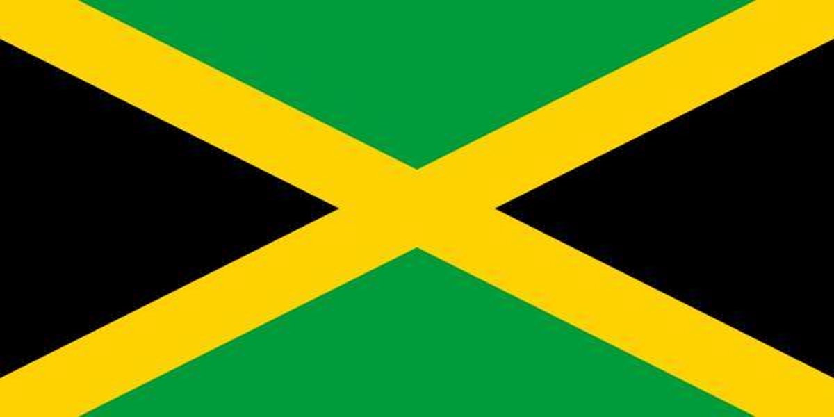 Vlag Jamaica 30x45cm