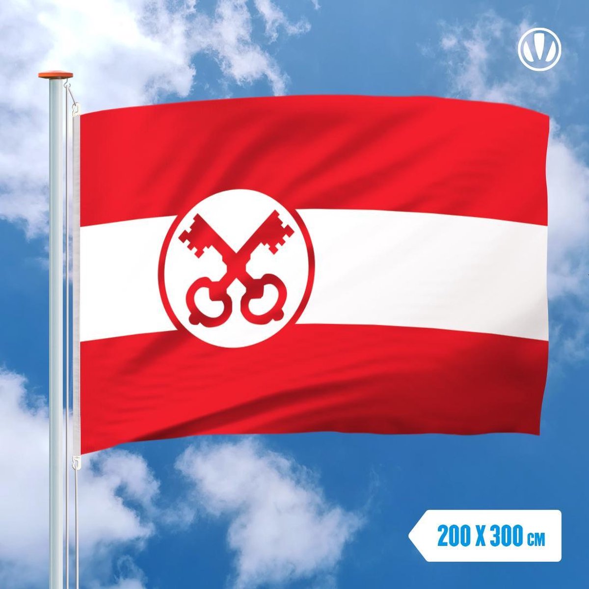 Vlag Leiden 200x300cm