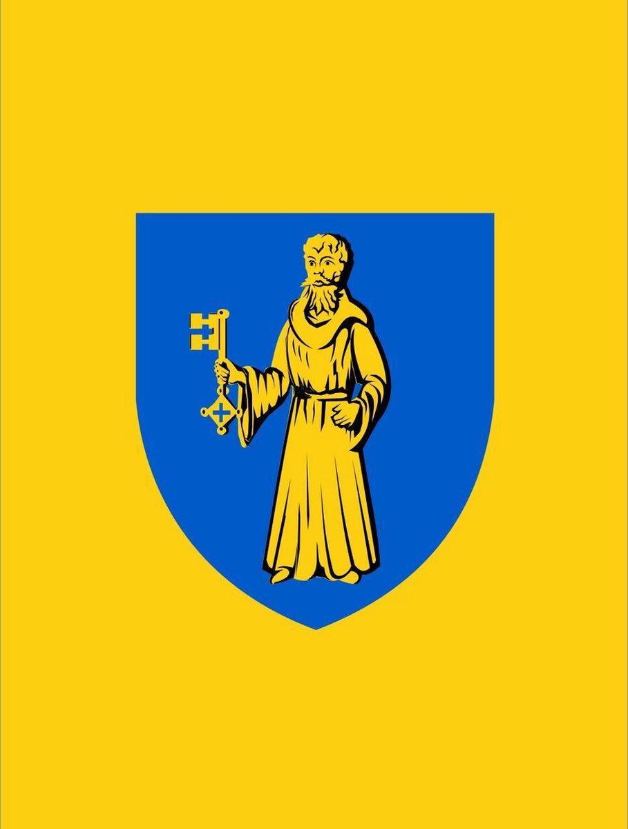 Vlag Lille 100x150