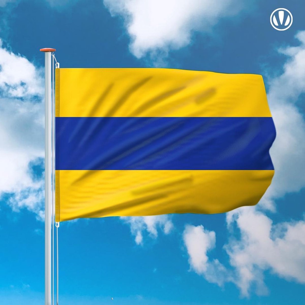 Vlag Lisse 150x225cm