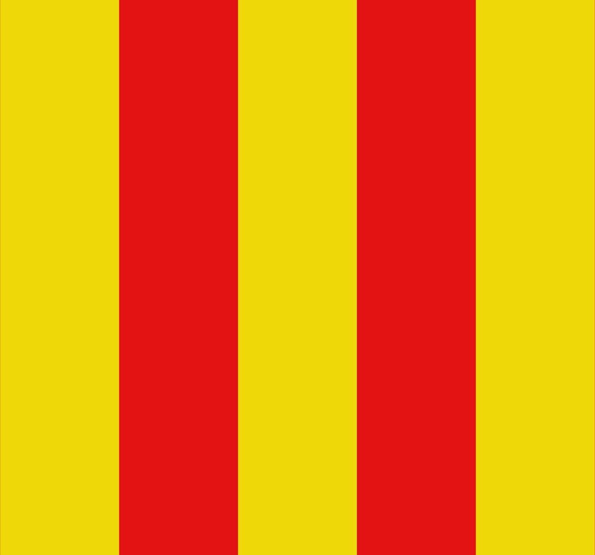 Vlag Messancy 100x150