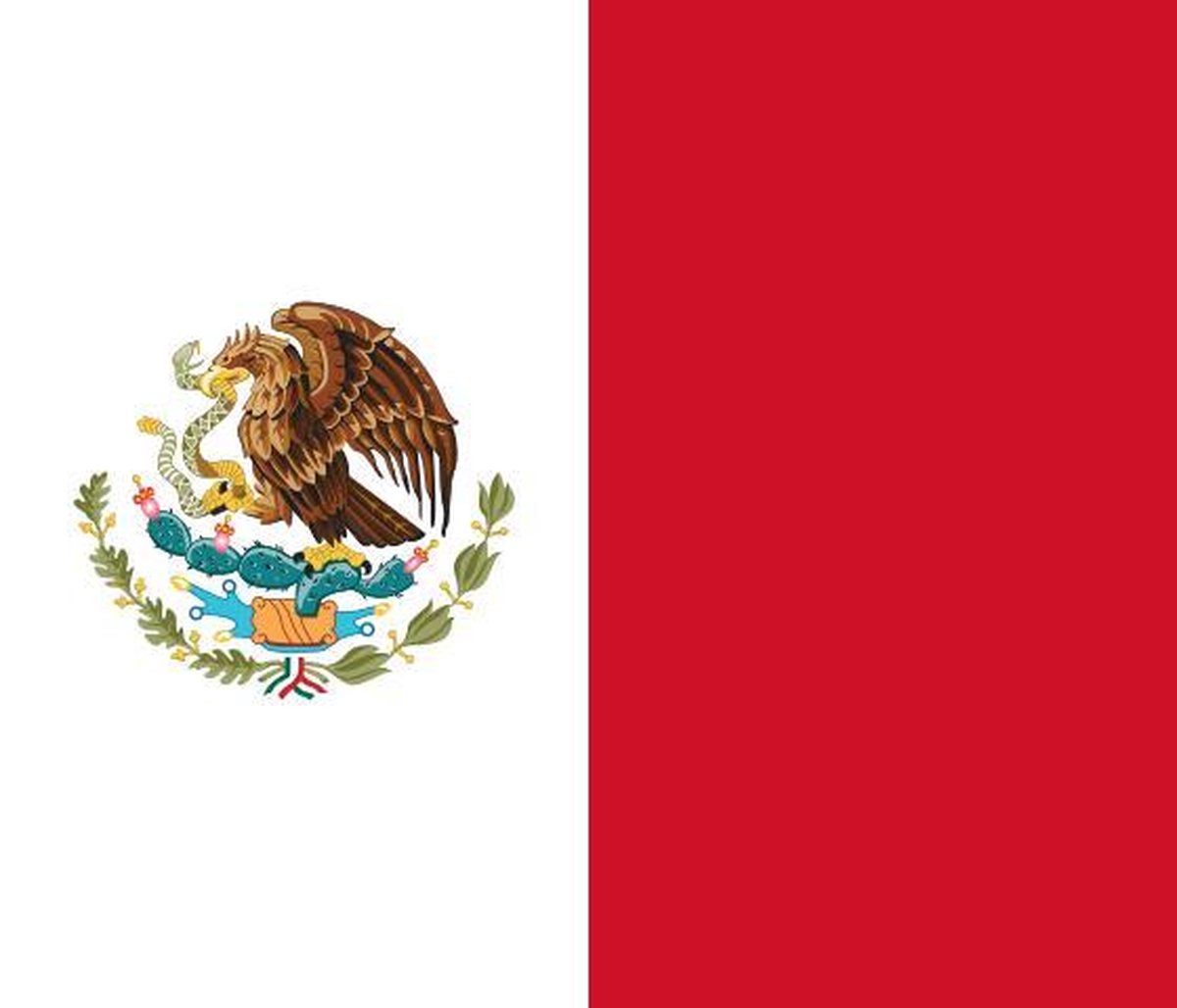 Vlag Mexico 70x100cm