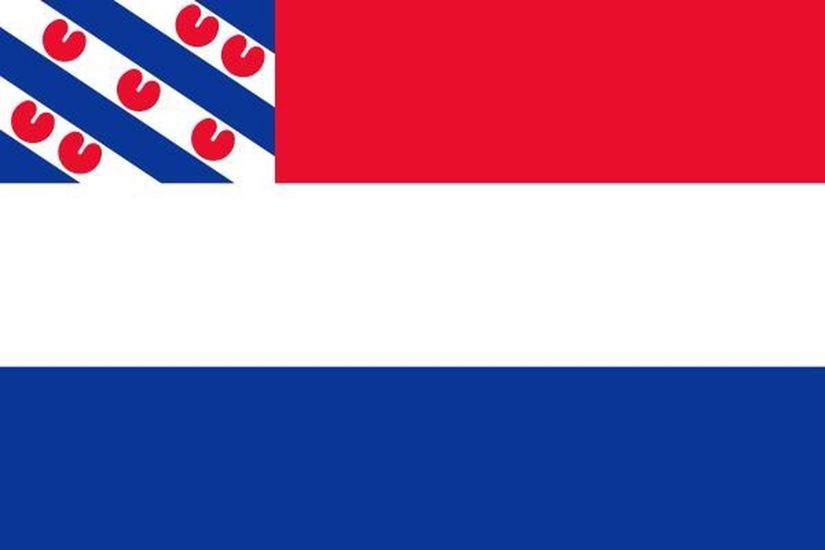 Vlag Nederland met inzet Friese vlag 80x120cm