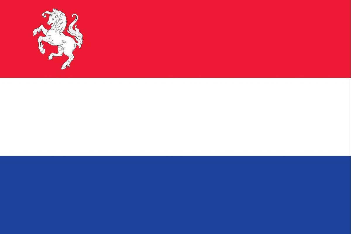 Vlag Nederland met inzet Twentse Ros 150x225cm