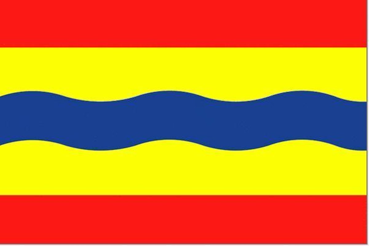 Vlag Overijssel 100x150cm