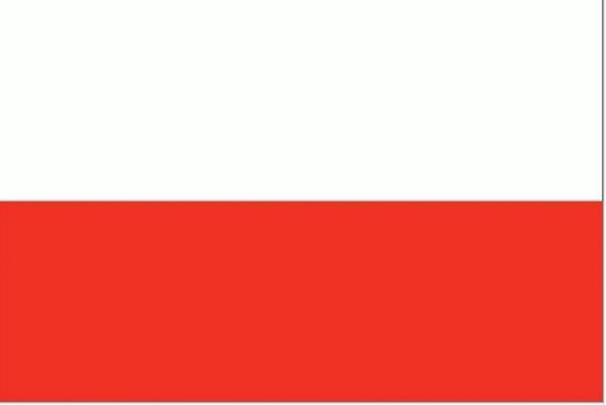 Vlag Polen 30x45cm