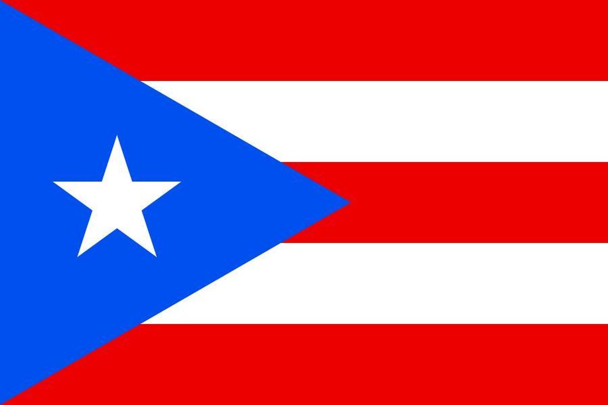 Vlag Puerto Rico 30x45cm