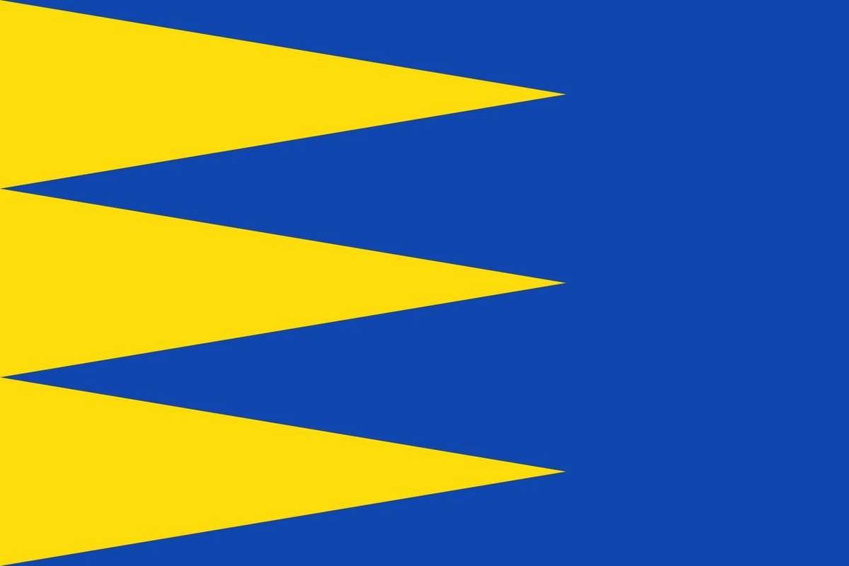 Vlag Ravels 100x150