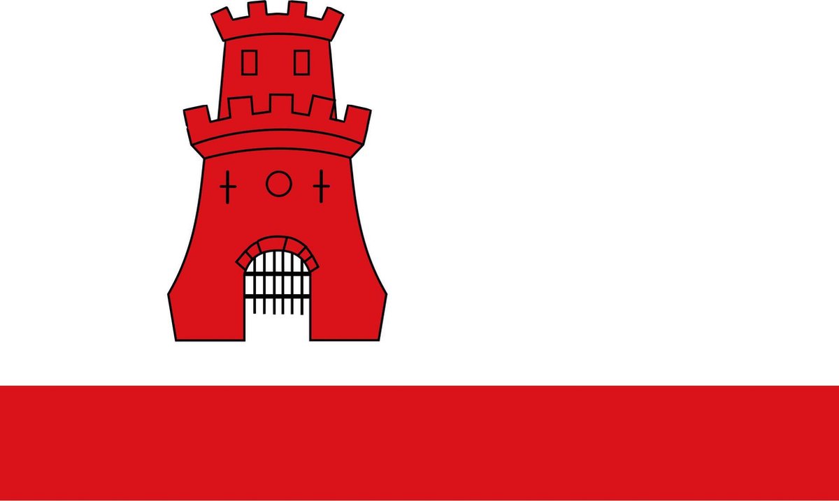 Vlag Rijnsburg 30x45cm