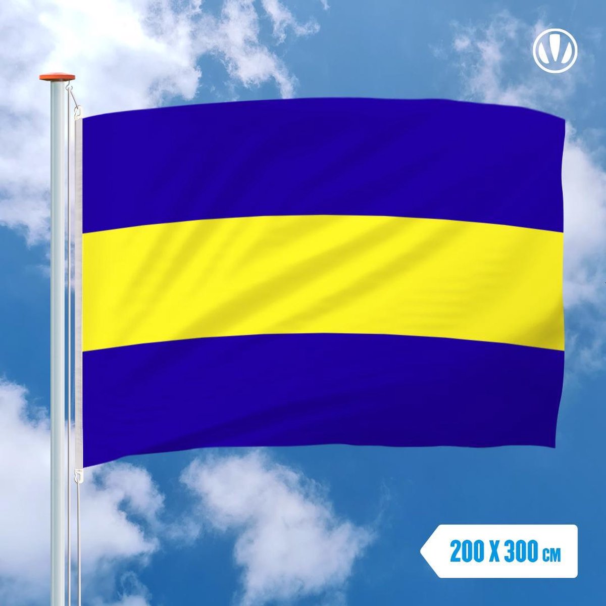 Vlag Rijswijk 200x300cm