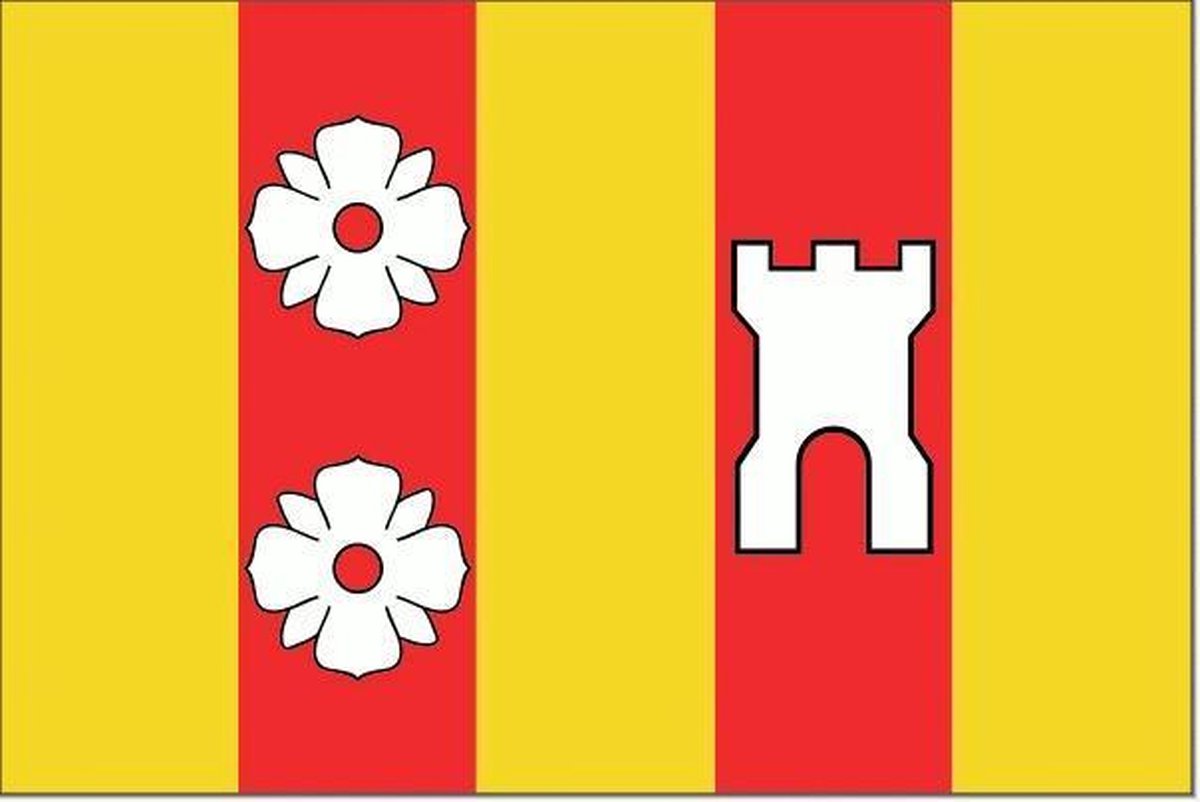 Vlag Rozenburg 70x100cm