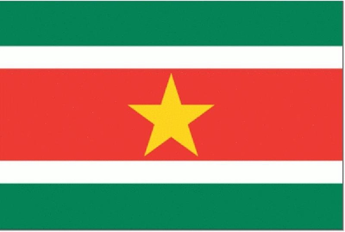 Vlag Suriname 30x45cm