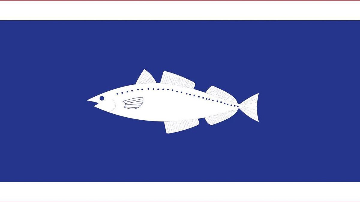 Vlag Urk 200x300cm