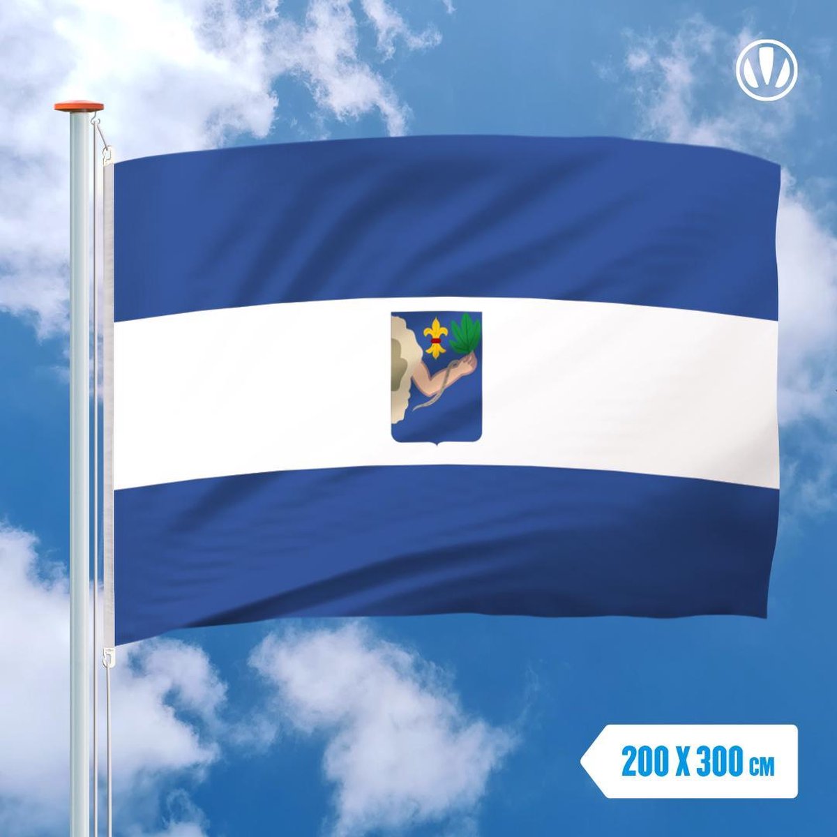 Vlag Veendam 200x300cm