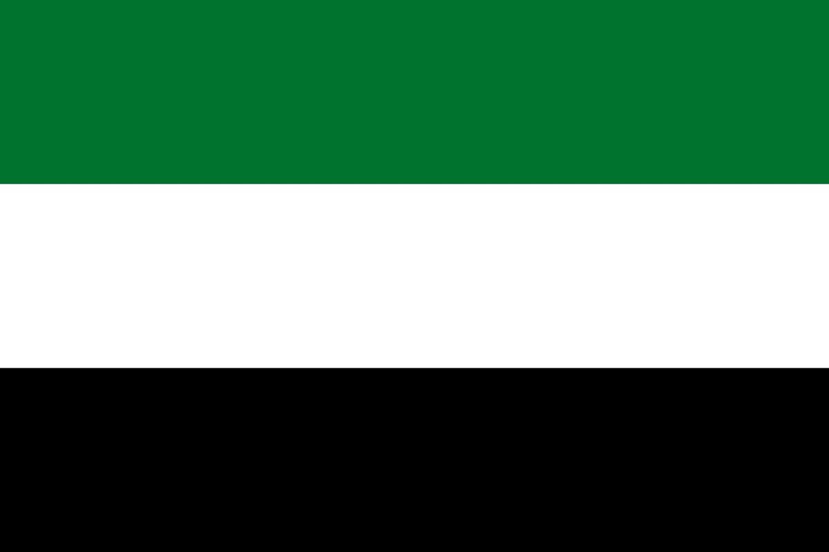 Vlag Verenigde Arabische Emiraten 30x45cm