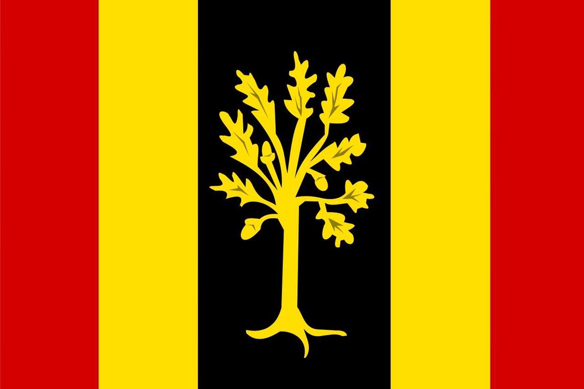 Vlag Waalwijk 30x45cm