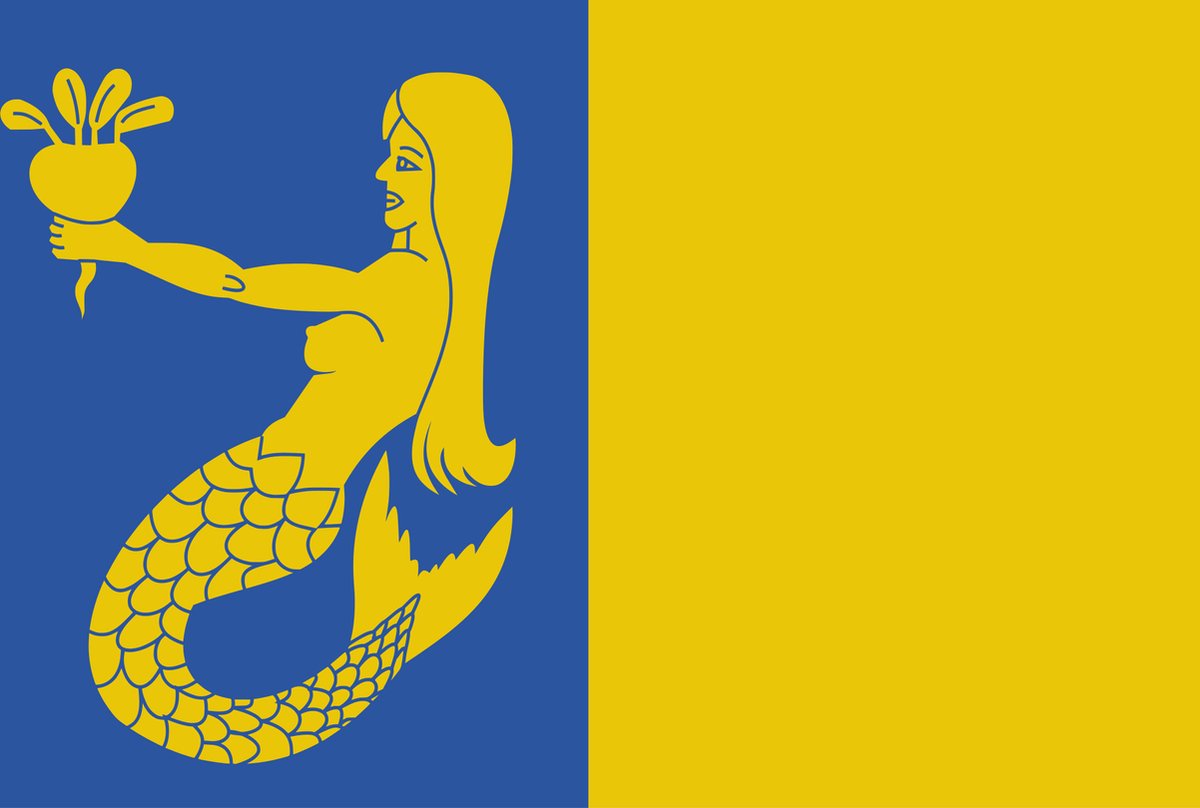 Vlag Waasmunster 100x150