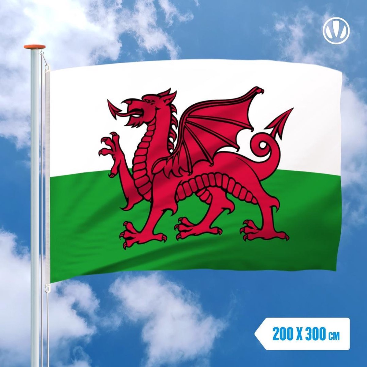 Vlag Wales 200x300cm