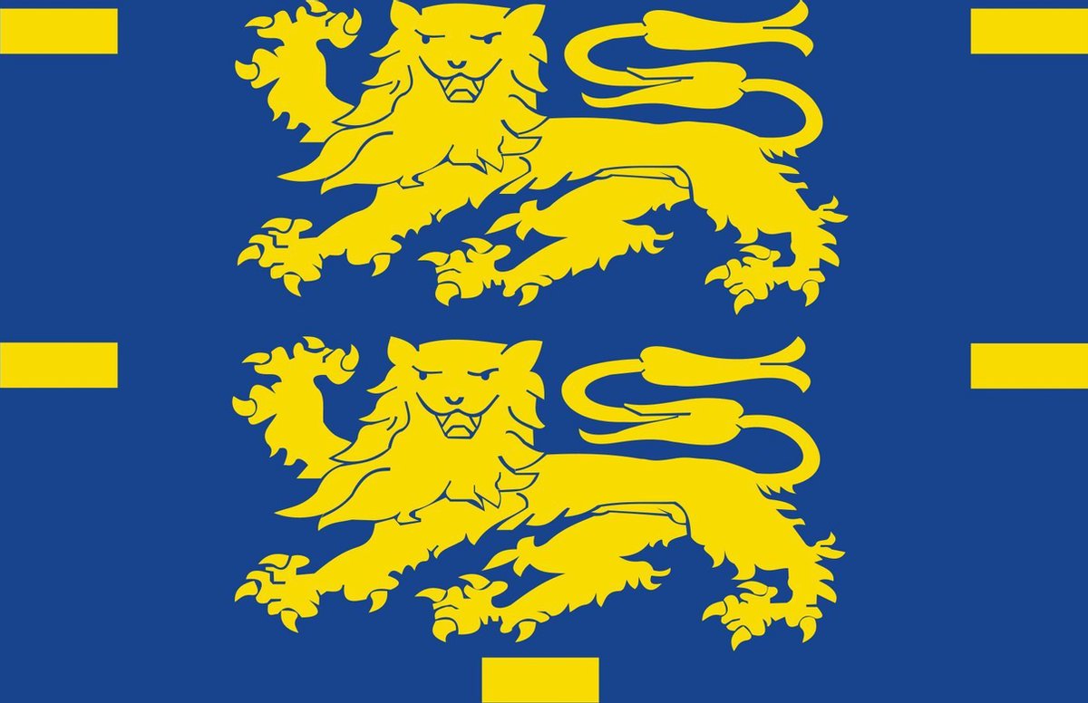 Vlag West-Friesland 80x120cm