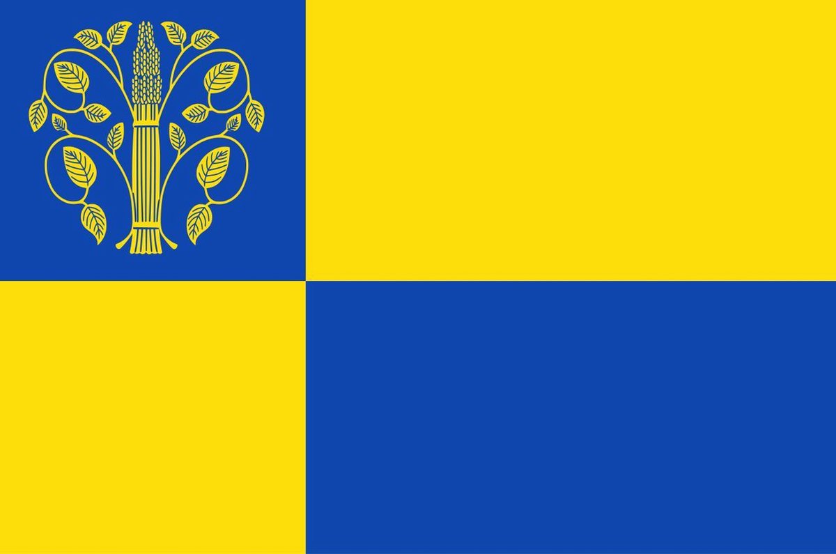 Vlag Westerwolde 150x225cm