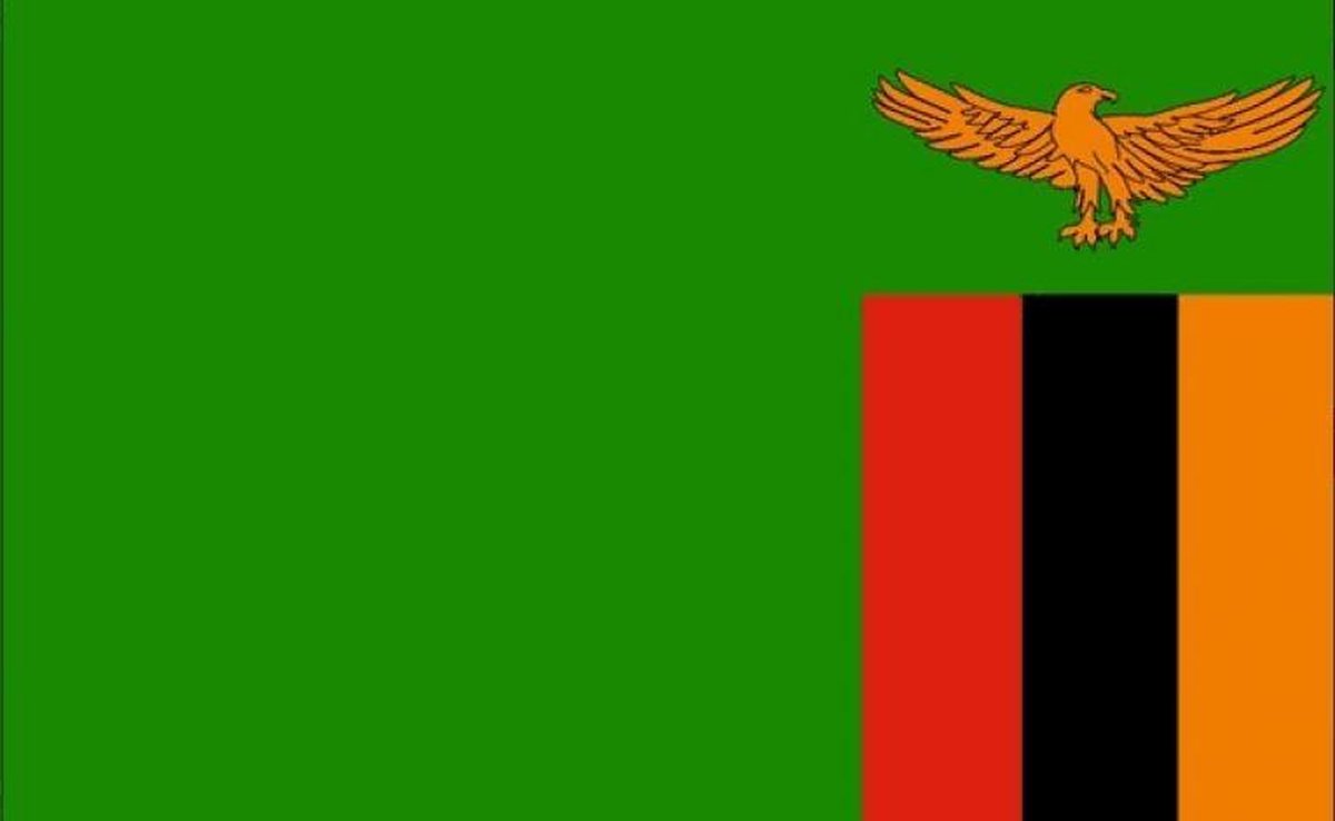 Vlag Zambia 30x45cm