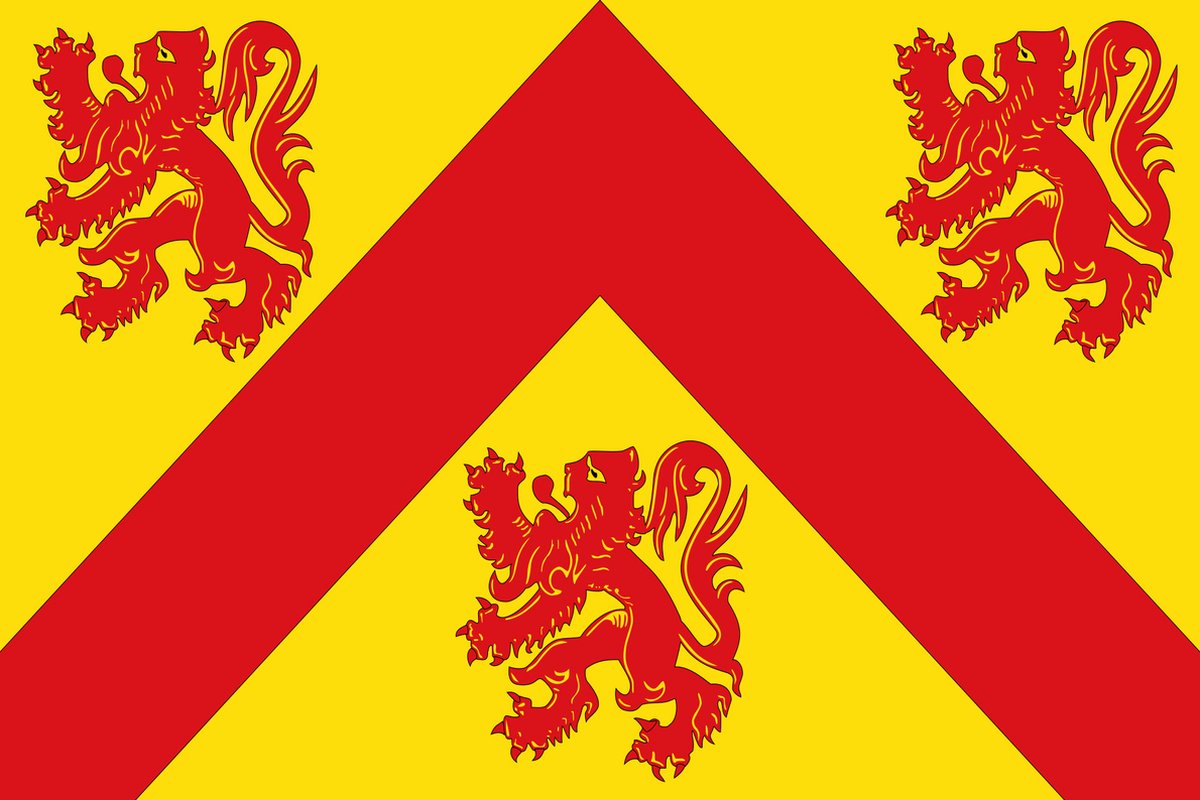 Vlag Zoersel 100x150