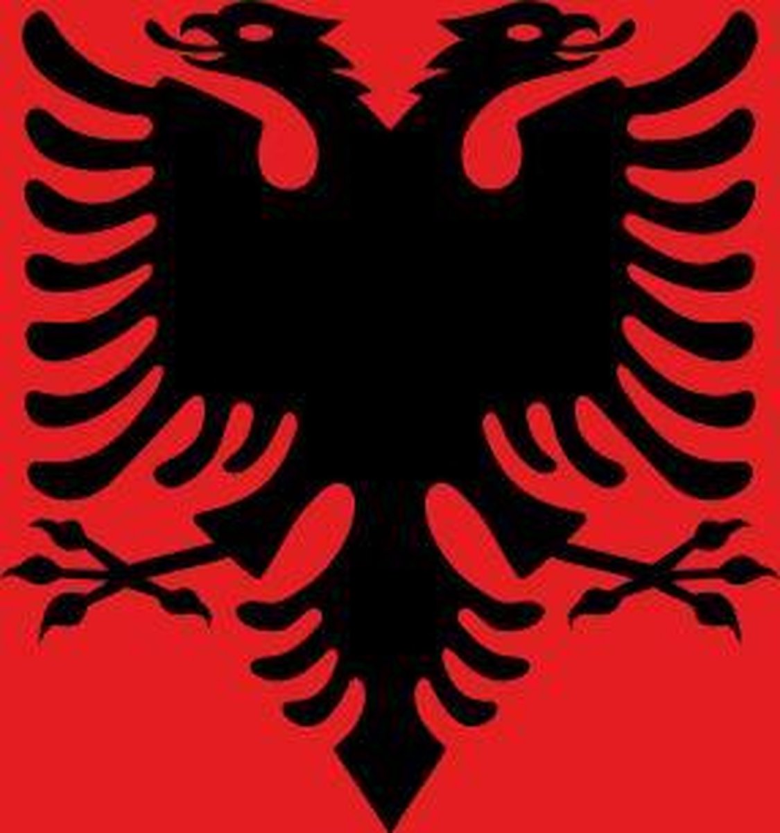 vlag Albanië 30x45cm