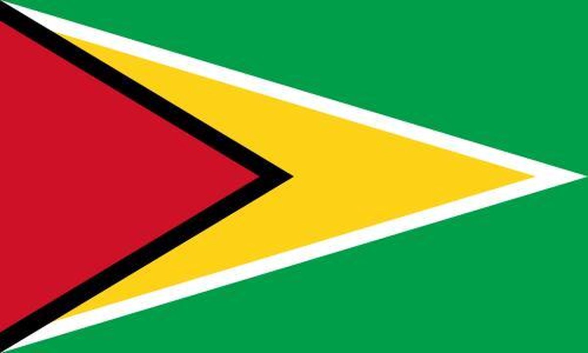 vlag Guyana 50x75cm