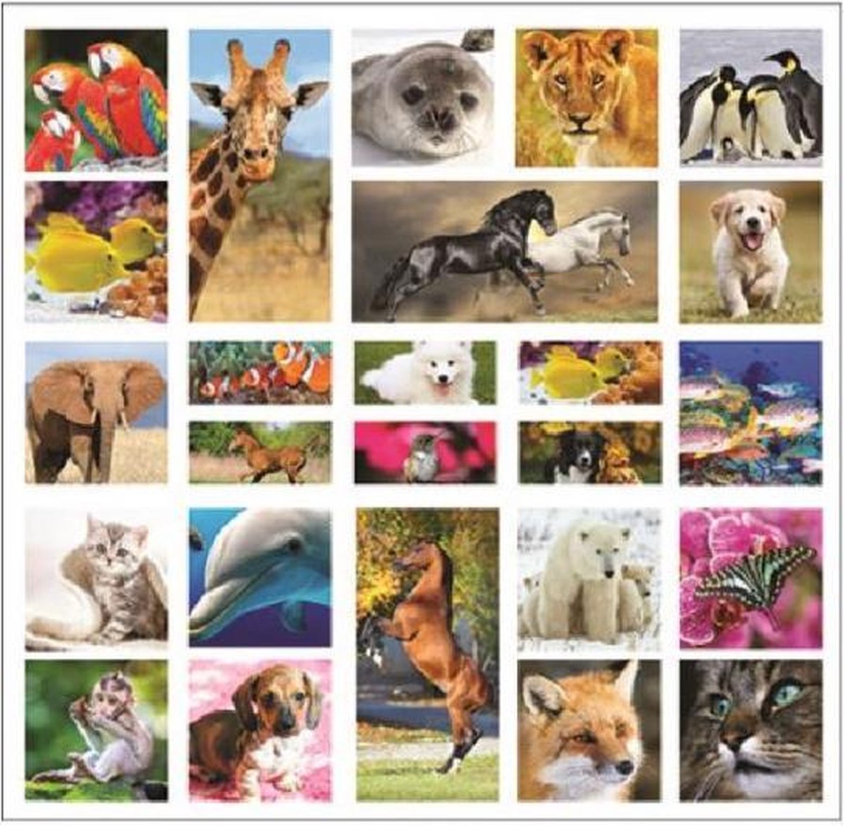 stickervel 3D Dieren 20 x 19,5 cm papier 25 stuks