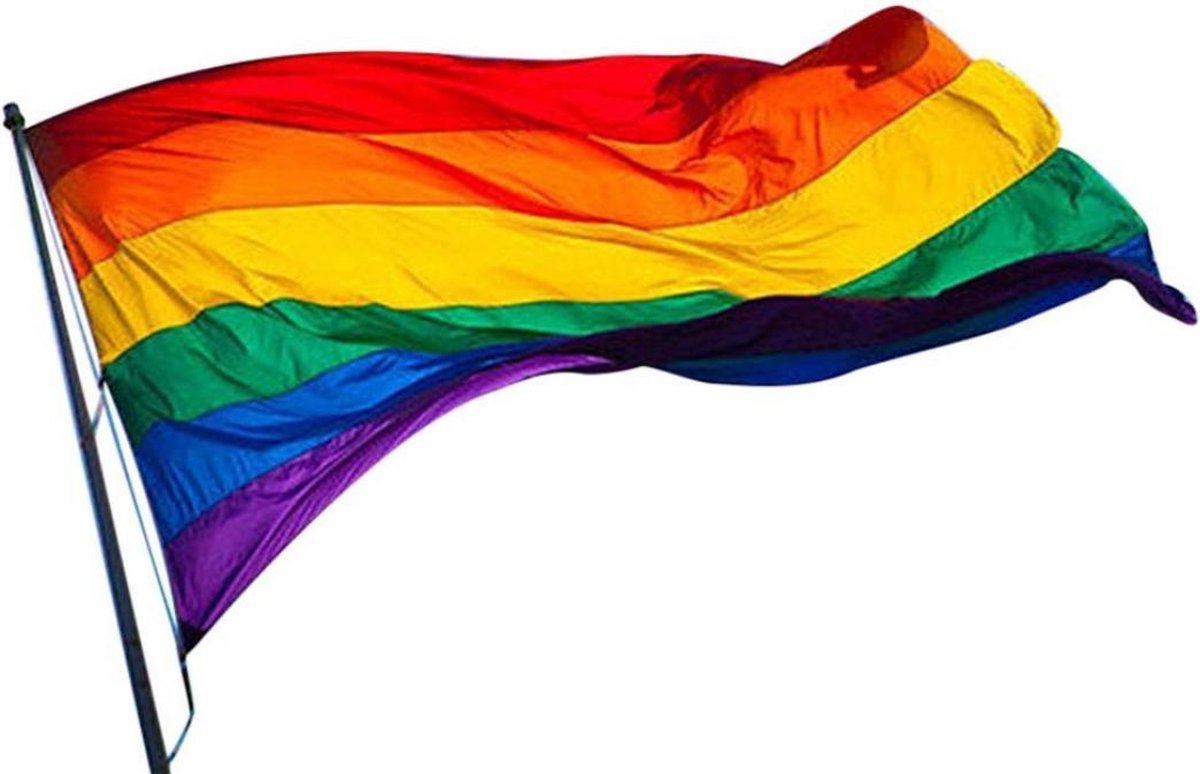   LGBTQ+ Regenboog Vlag - Regenboog Vlag LGBT - LGBTQ Vlag - Pride Vlag - Bi vlag - 90*60cm