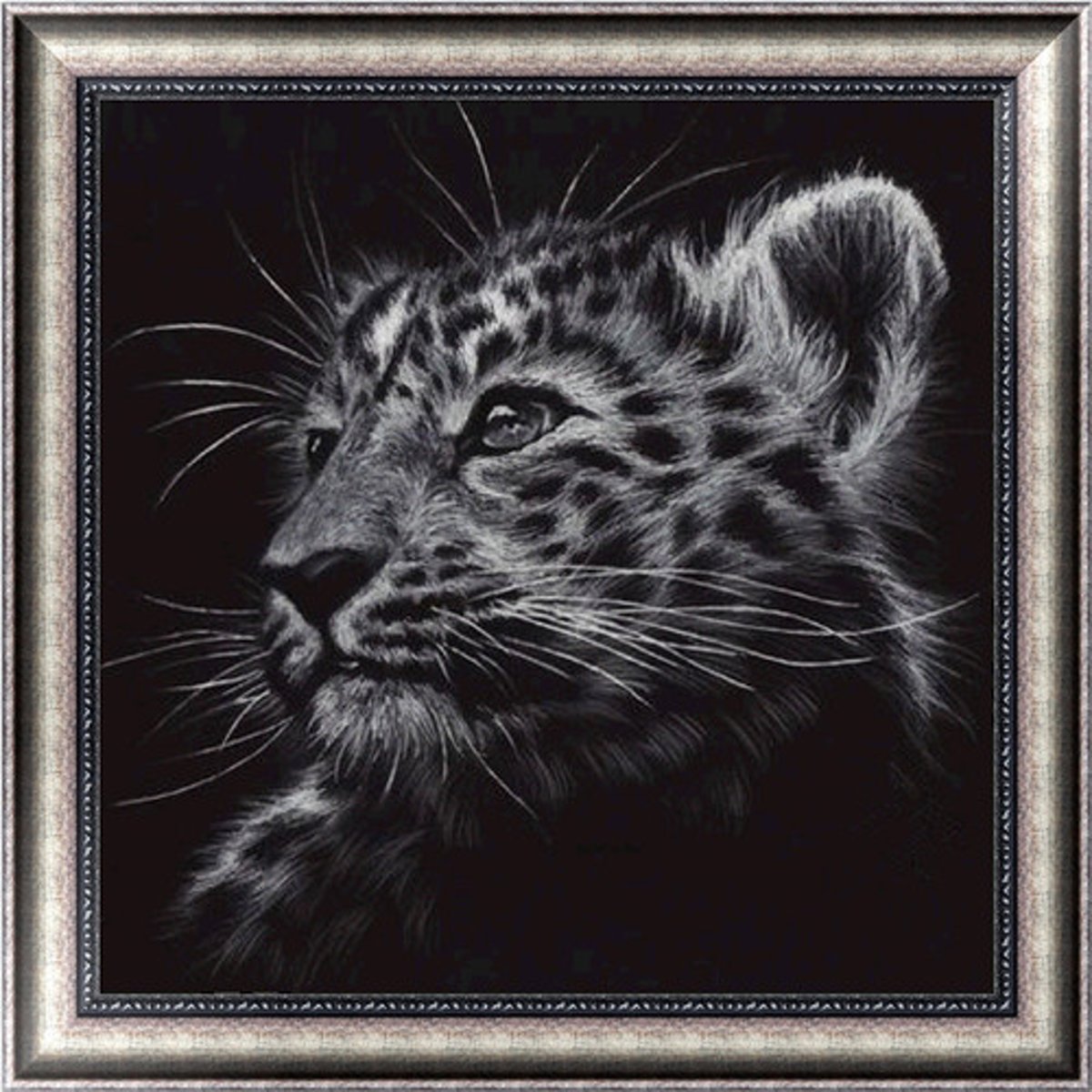 Diamond Painting Zwart Wit – 40 x 40 cm – Katachtigen – Maak Zelf de Mooiste Schilderijen