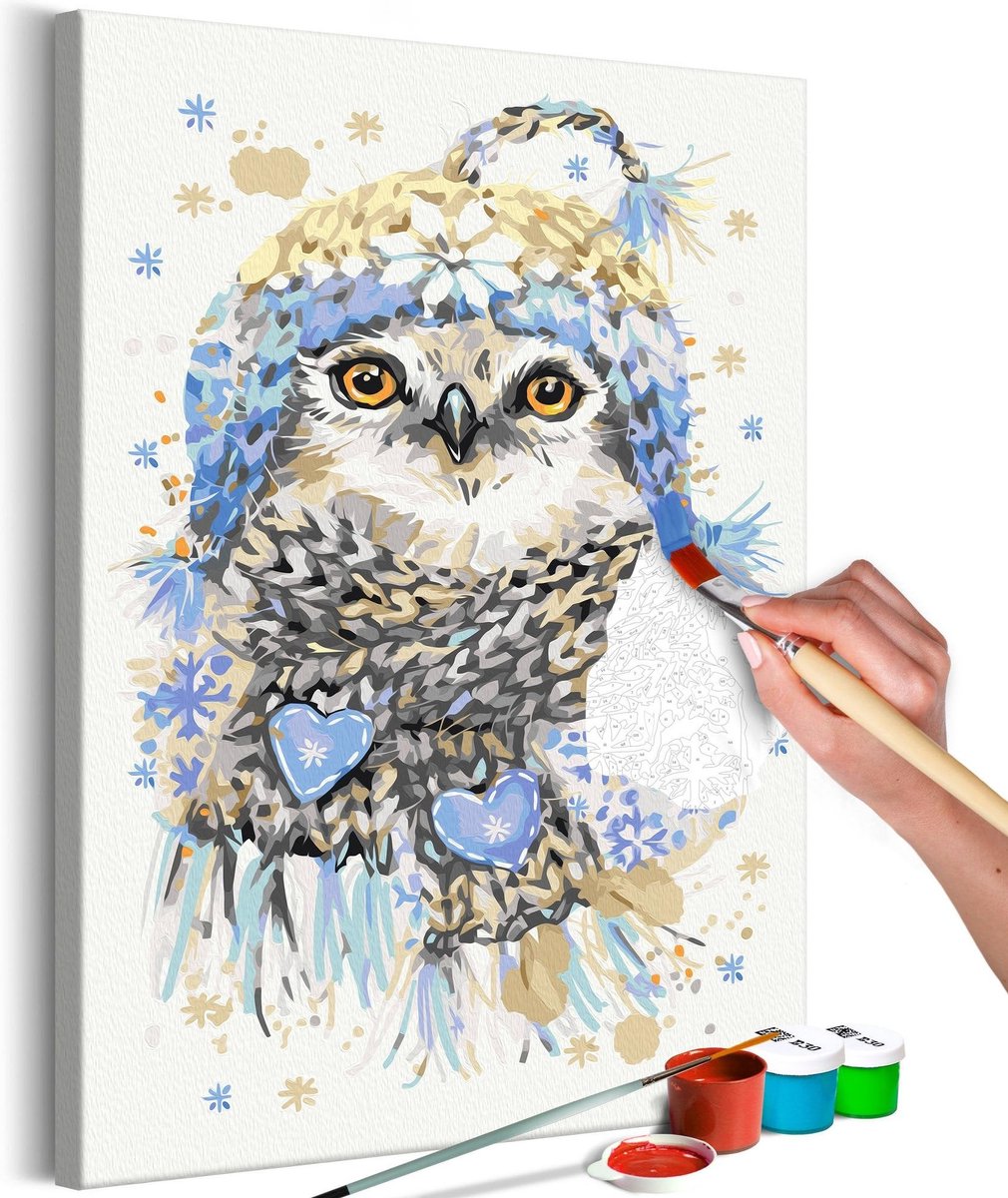 Doe-het-zelf op canvas schilderen - Cold Owl