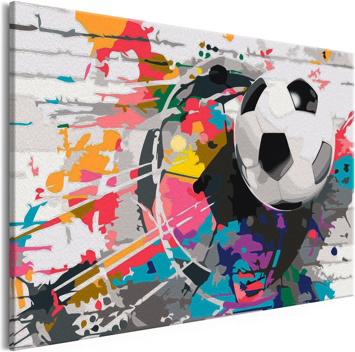 Doe-het-zelf op canvas schilderen - Colourful Ball