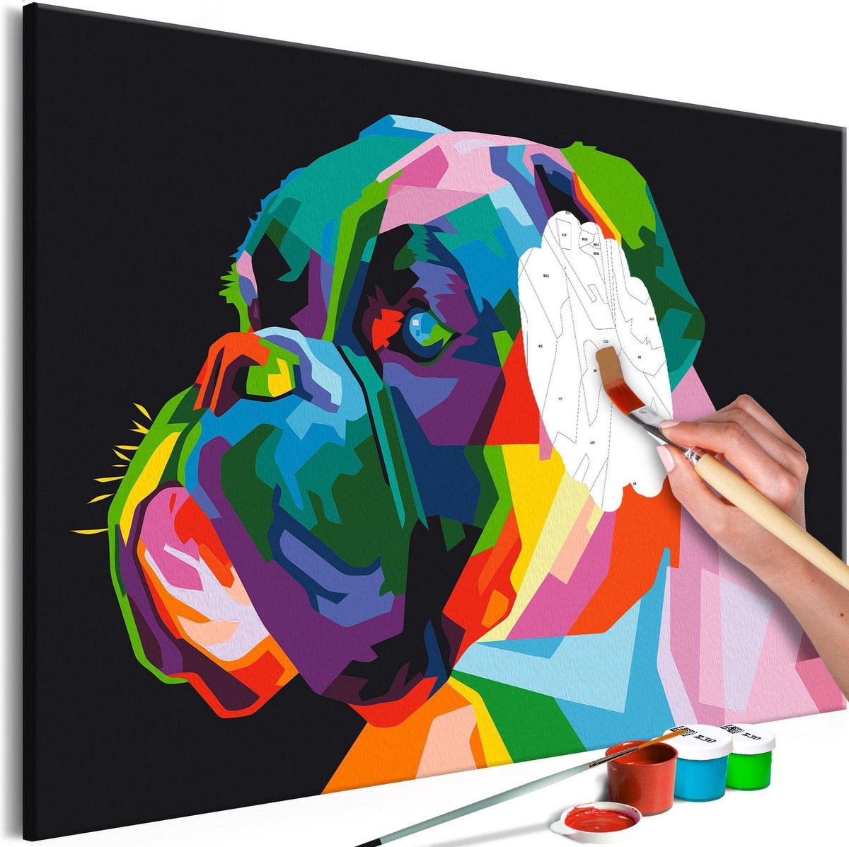 Doe-het-zelf op canvas schilderen - Colourful Boxer