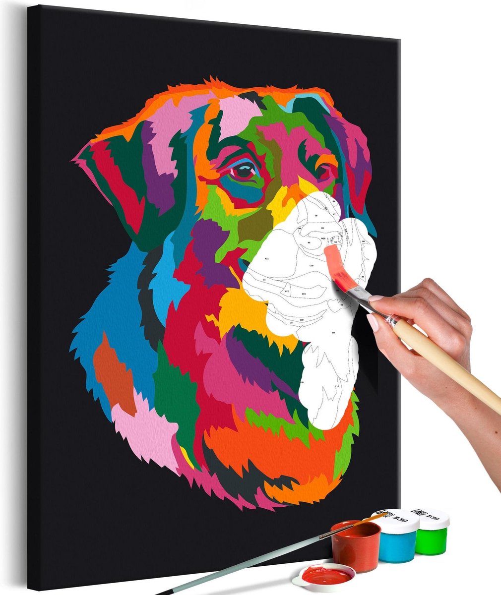 Doe-het-zelf op canvas schilderen - Colourful Dog