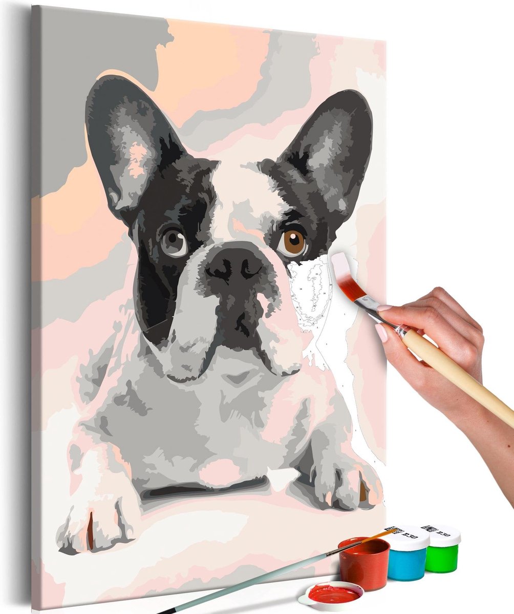 Doe-het-zelf op canvas schilderen - French Bulldog