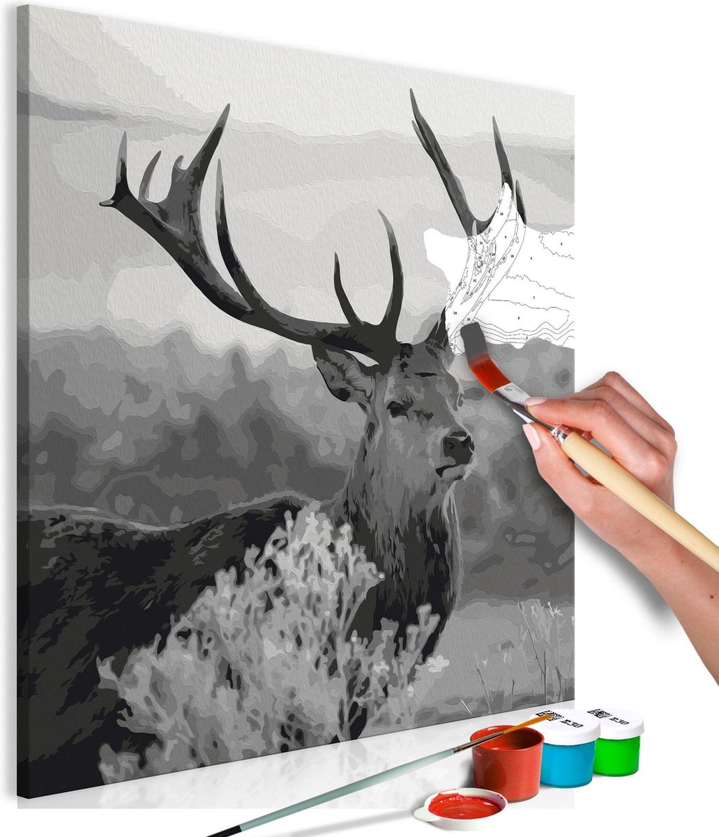 Doe-het-zelf op canvas schilderen - Grey Wildness