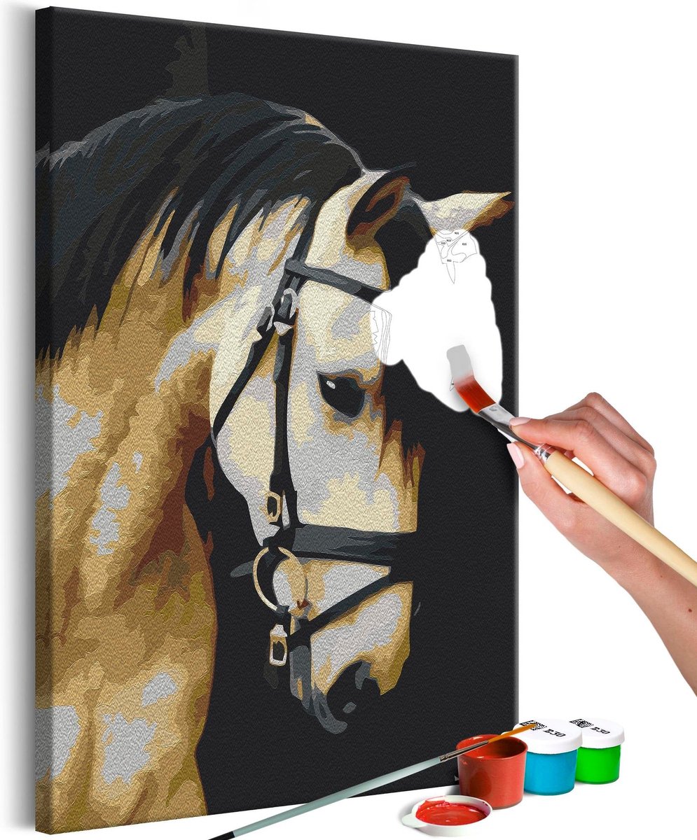 Doe-het-zelf op canvas schilderen - Horse Portrait