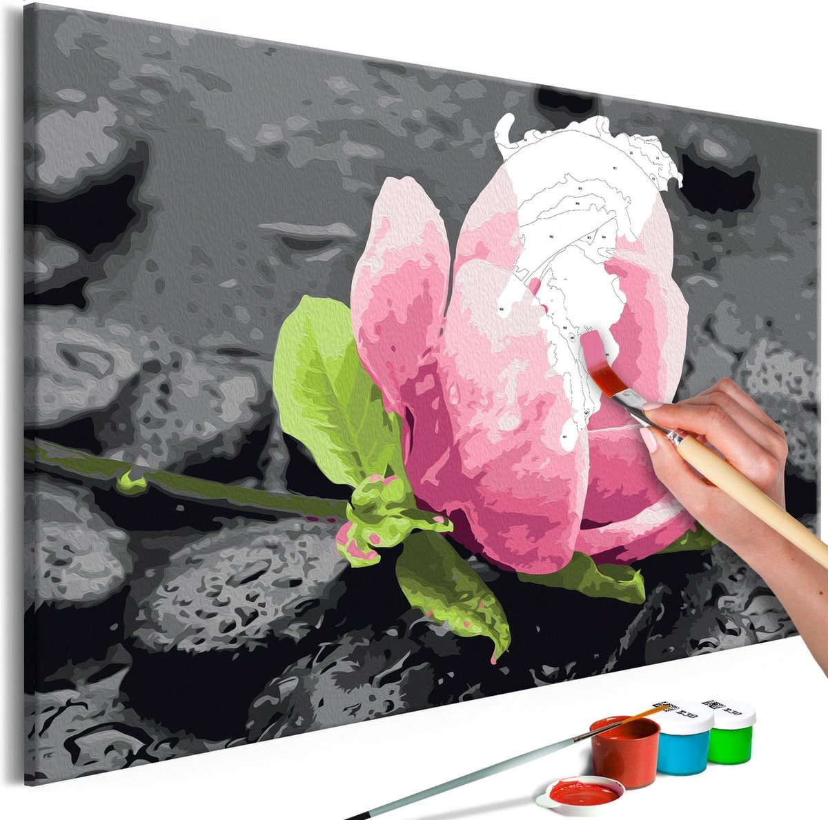 Doe-het-zelf op canvas schilderen - Pink Flower and Stones