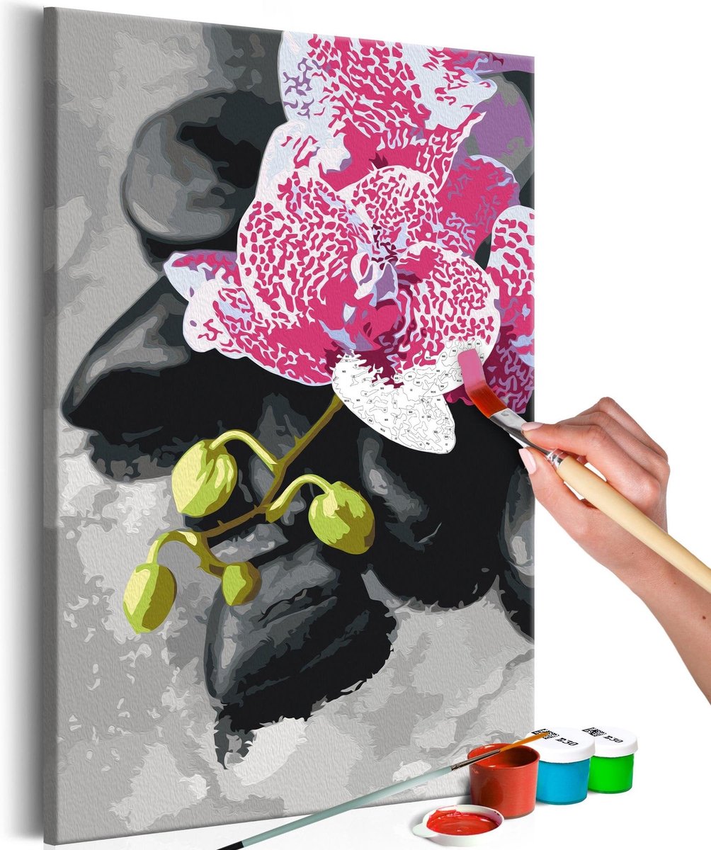 Doe-het-zelf op canvas schilderen - Pink Orchid