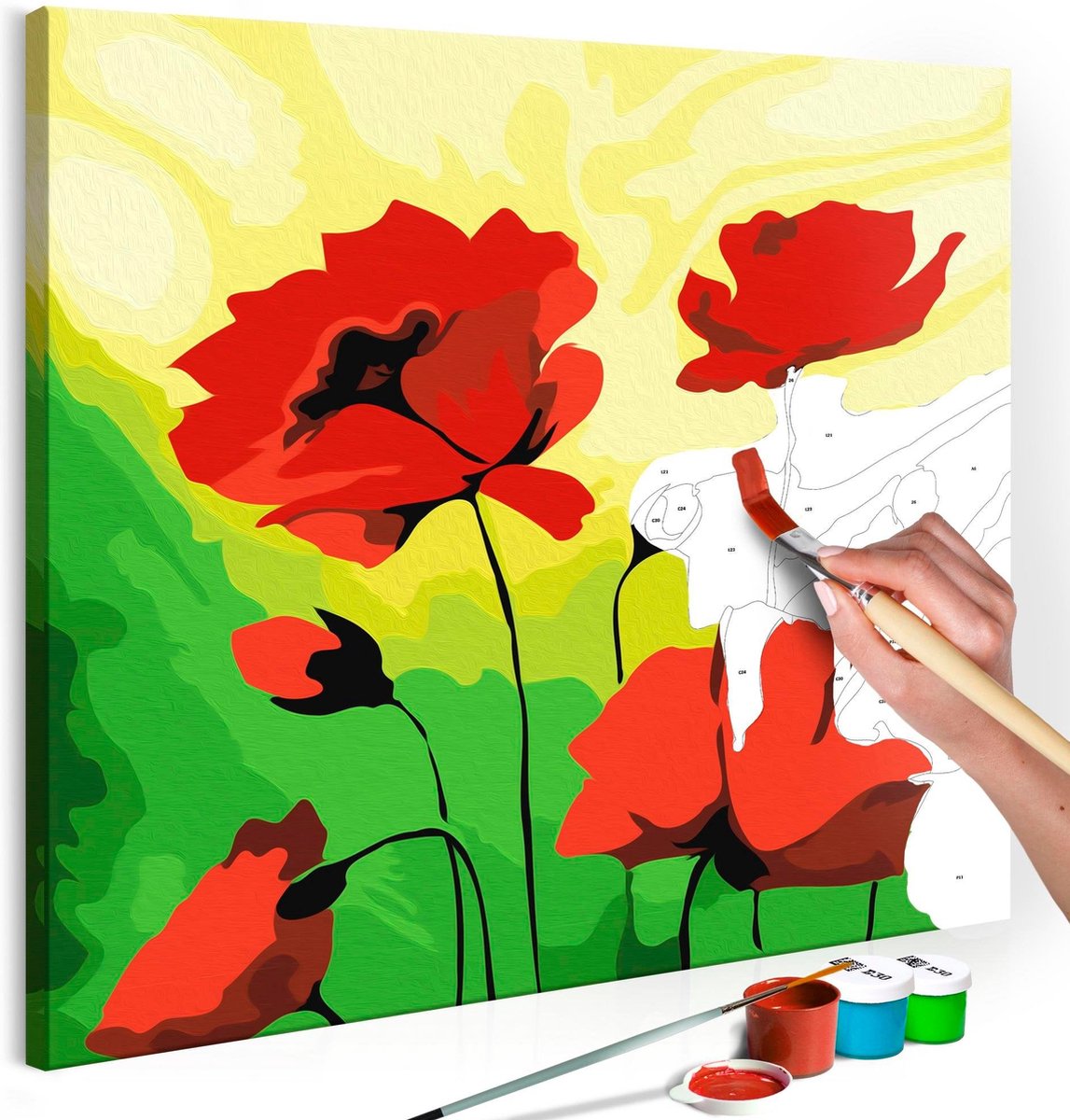 Doe-het-zelf op canvas schilderen - Poppies