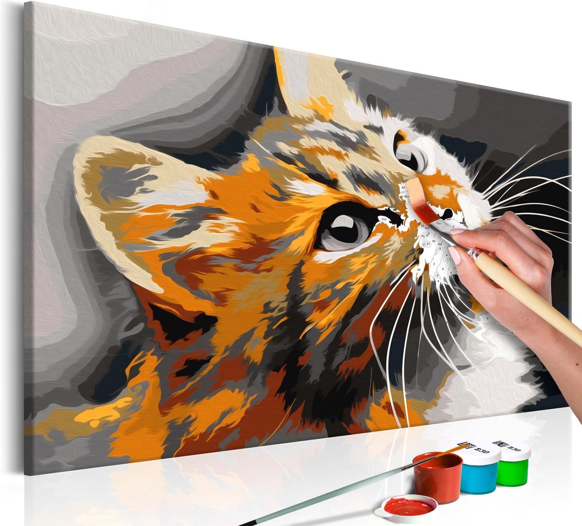 Doe-het-zelf op canvas schilderen - Red Cat