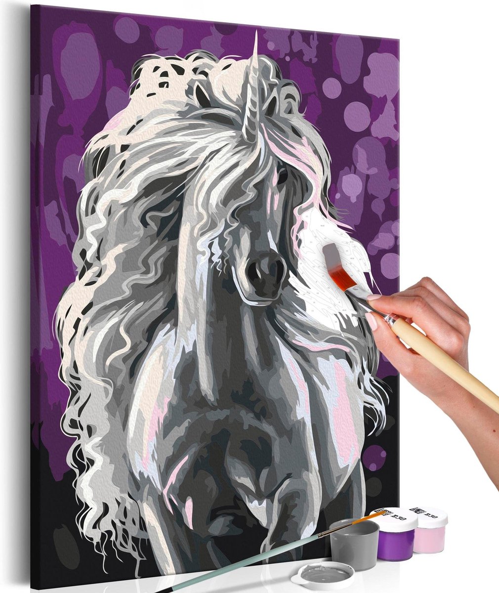 Doe-het-zelf op canvas schilderen - White Unicorn