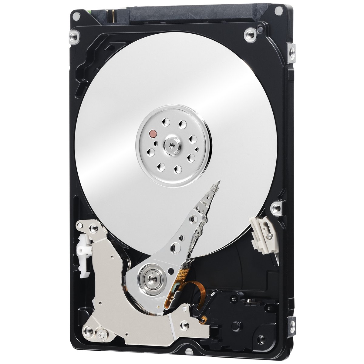 Western Digital interne harde schijven Black 250GB