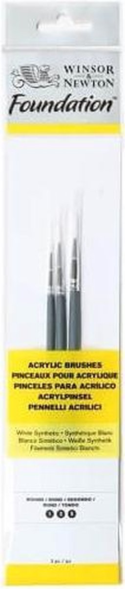 Winsor & Newton Foundation Acrylverf Penselen Set 4