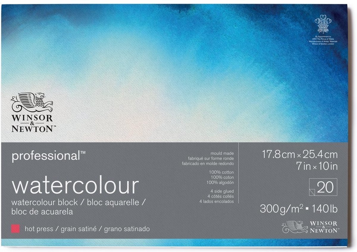 Winsor & Newton Professional Aquarelpapier Hot Pressed Blok 4-zijdig gelijmd 300gr 20 vel  17.8 x 25.4 cm