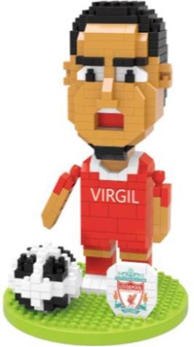 Wise Hawk Virgil van Dijk Miniblocks - voetbal