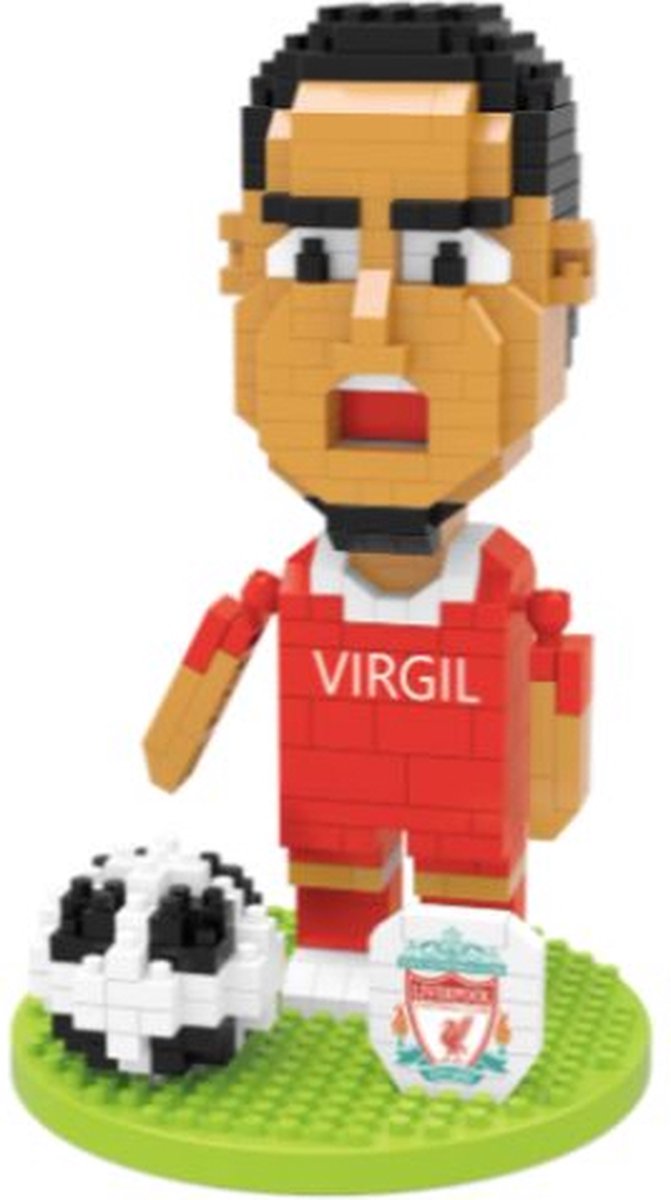 Wise Hawk® Virgil van Dijk nanoblock - Voetbal - 400 miniblocks