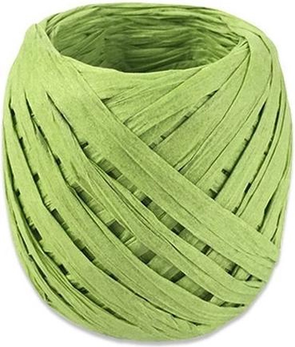 Witbaard Lint 20 Meter Papier Groen