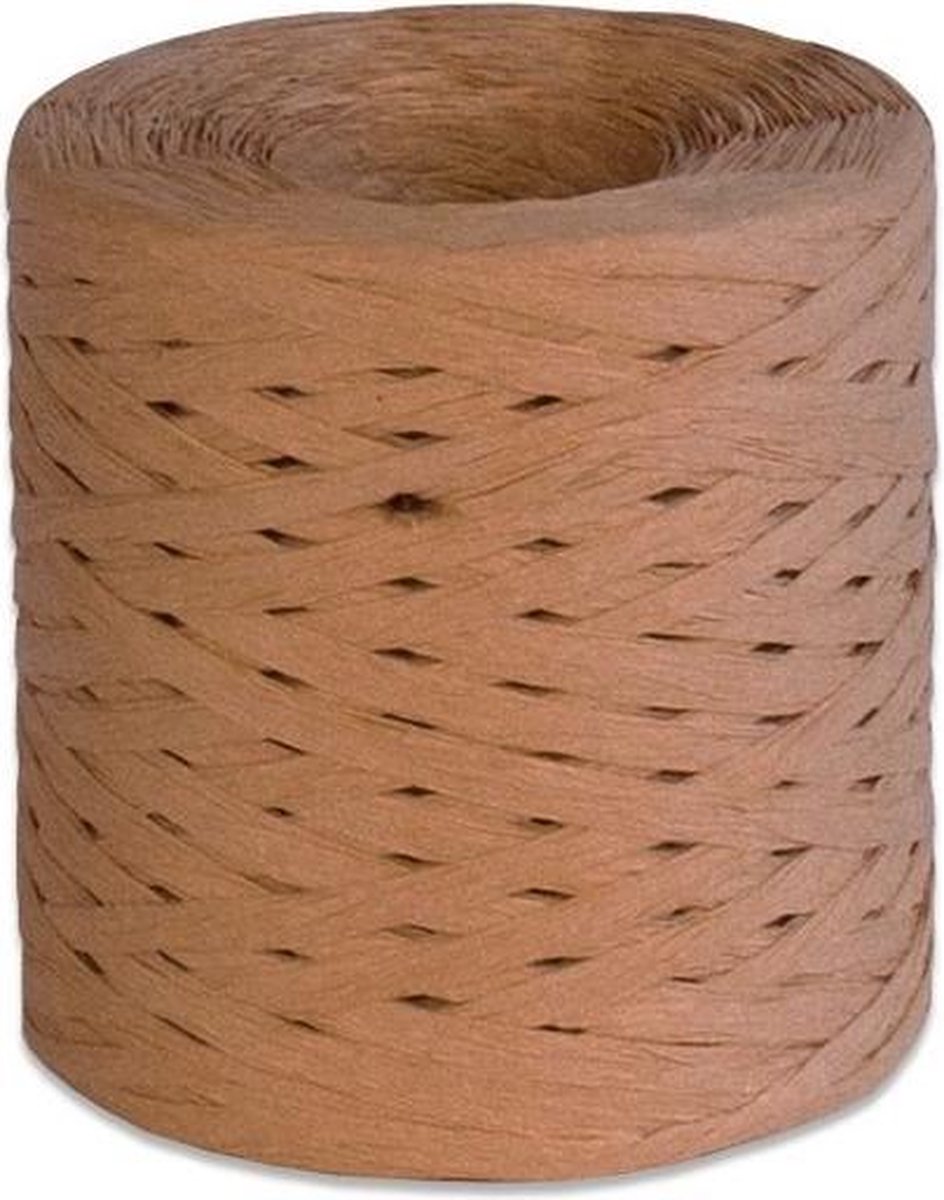 Witbaard Lint 200 Meter Papier Goud